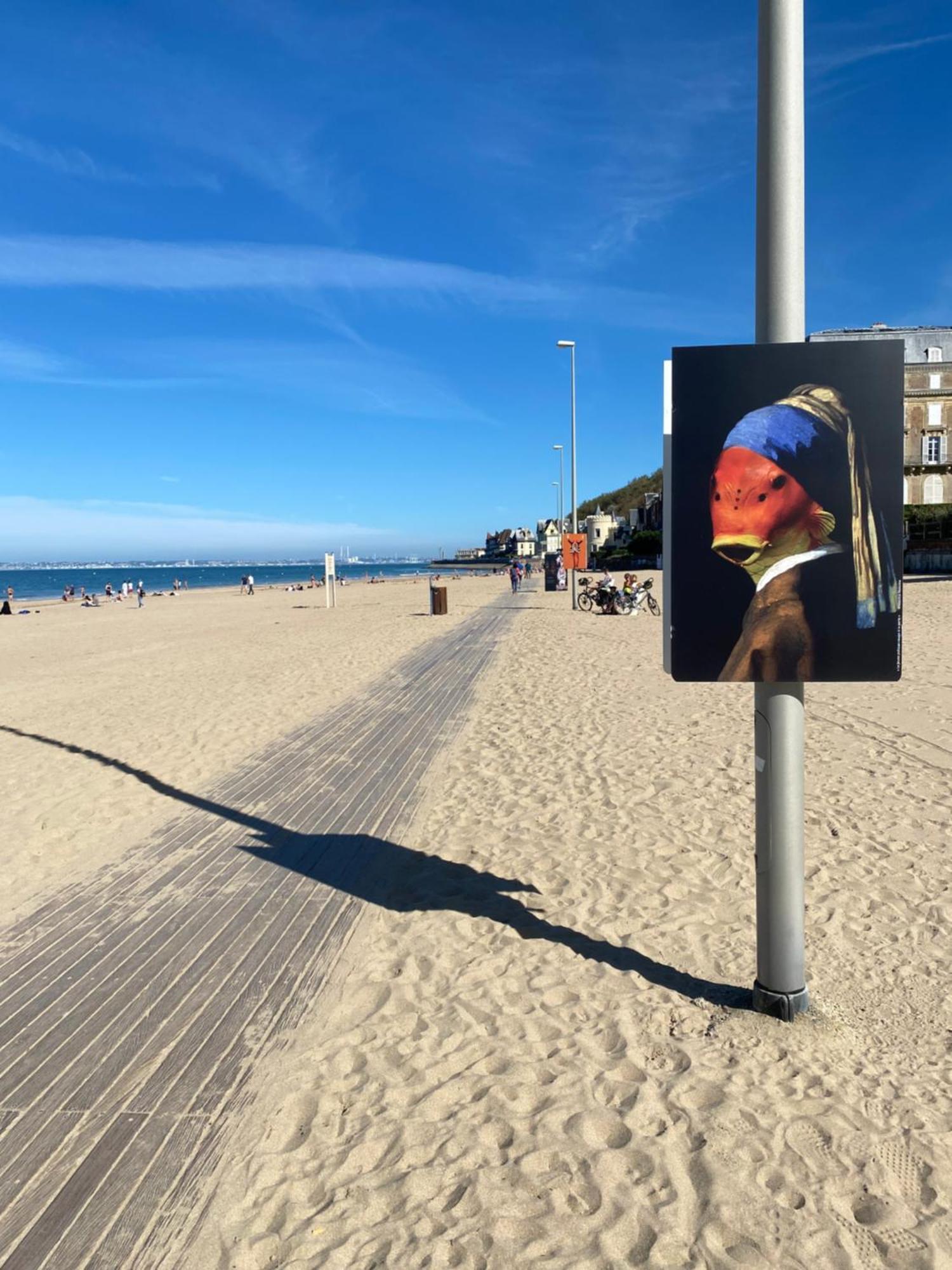 Cote Plage - Magnifique Appartement De Charme A Trouville Sur Mer - Linge - Lit Fait - Parking - Wifi - Classe Par L'Office Du Tourisme Ngoại thất bức ảnh
